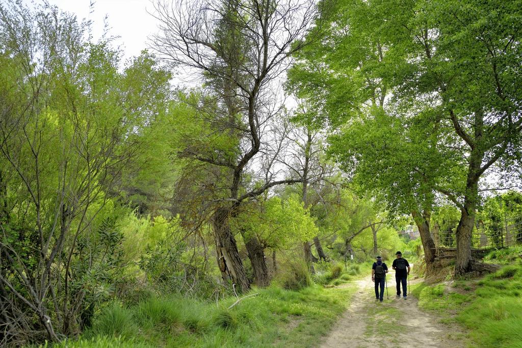 Casa Rural La Tahona Elche de la Sierra Pokój zdjęcie